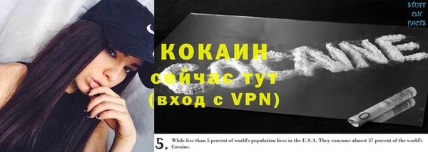 МДПВ Няндома