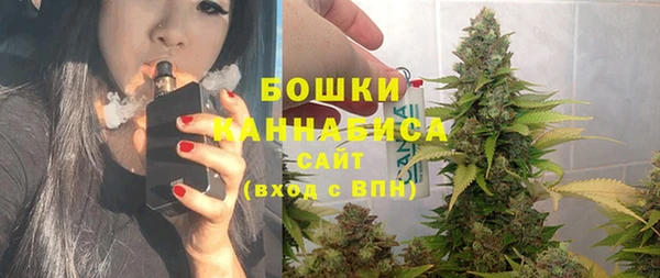 МДПВ Няндома