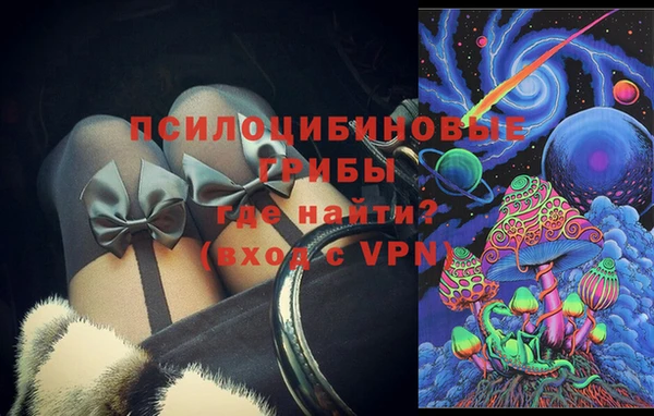 соль ск Новозыбков