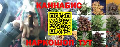 твердый Бийск