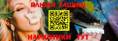 твердый Бийск