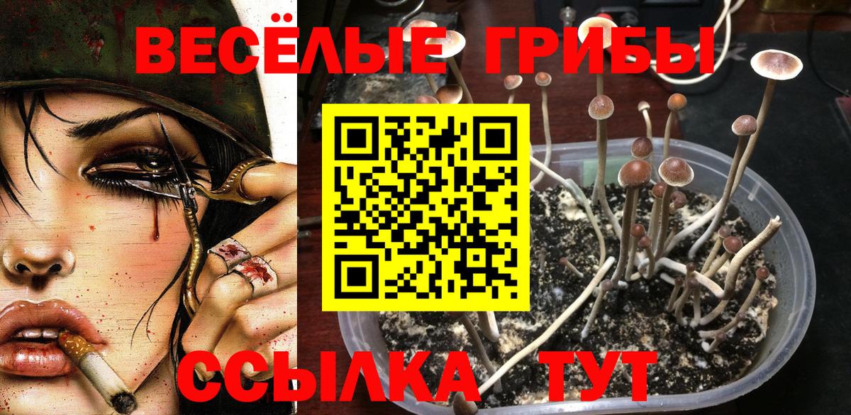 Галлюциногенные грибы мухоморы  наркота  Сафоново 