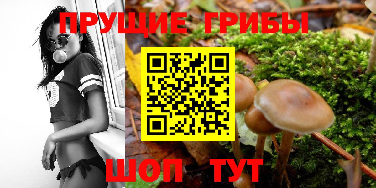 Сафоново  Галлюциногенные грибы мухоморы  Вход с VPN 
