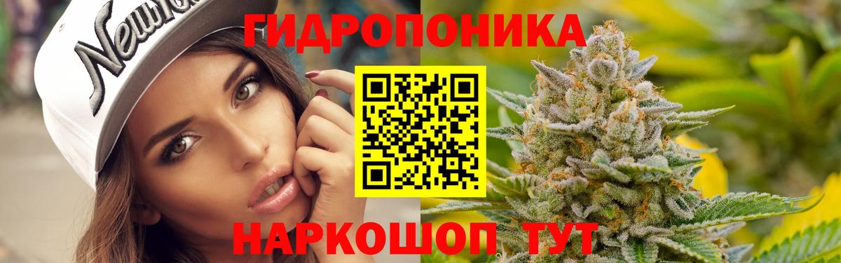Канабис OG Kush Сафоново